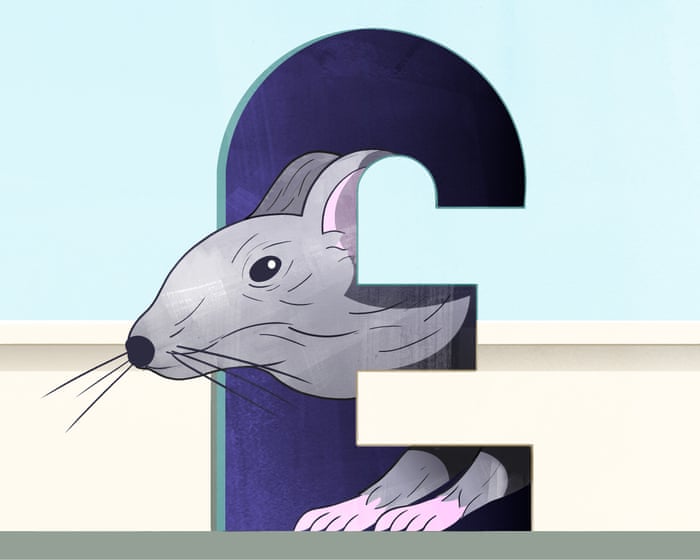 Rats! How to banish rodents, bedbugs and other pests from your home