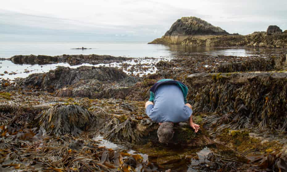 Derek Niemann leans over a rockpool at Scarlett Point on the Isle of Man