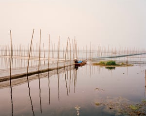 Shrimp fishing, Lake Hong, China