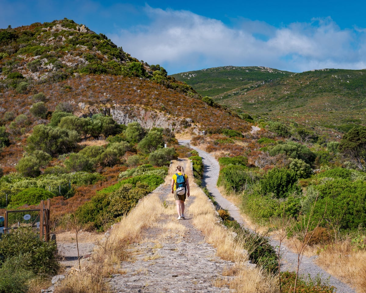 Tourist walking on the path of the Reganico battery in Capraia Island, Italy.