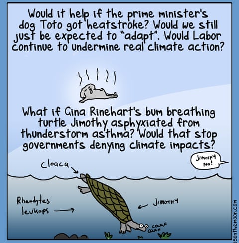 First Dog on the Moon cartoon titled Heatwave, panel 2