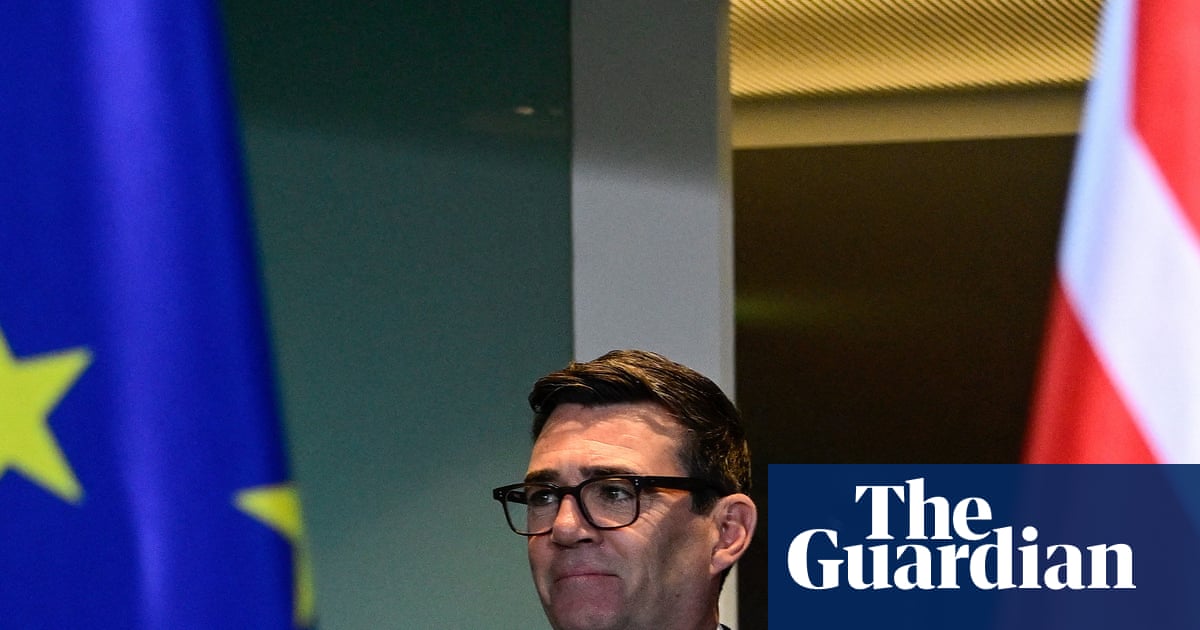 Senior MEP Says UK Could Re-Enter EU Quickly Through 'Switzerland Plus' Deal