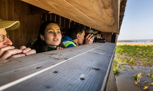 People in a hide with binoculars