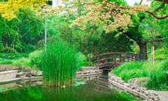 Budapest in bloom … the Japanese Garden on Margaret Island, Budapest, Hungary