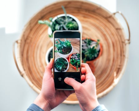 A plant identifier app on a smartphone