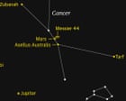 Starwatch: Mars signposts the beautiful Beehive cluster