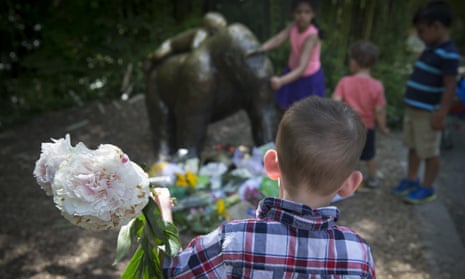 A boy brings flowers to put beside a statue of a gorilla outside the shuttered Gorilla World exhibit at the Cincinnati Zoo &amp; Botanical Garden, Monday, May 30, 2016, in Cincinnati. A gorilla named Harambe was killed by a special zoo response team on Saturday after a 4-year-old boy slipped into an exhibit and it was concluded his life was in danger. (AP Photo/John Minchillo)