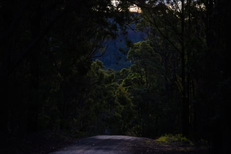 The road out of the farm near Mallacoota in east Gippsland.