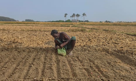 A man sits on a tilled patch of earth sorting through seeds held in a green plastic bag.