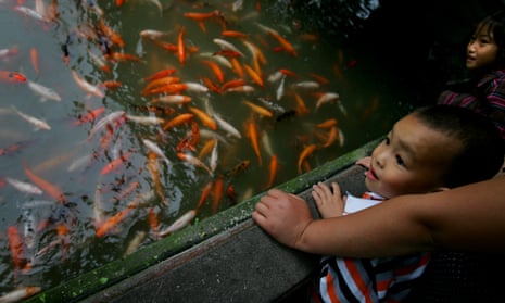 Long, thin, and fishy