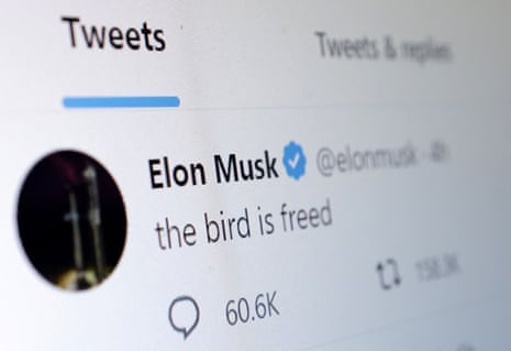 An image of a tweet from Elon Musk reads 'The bird is freed'.