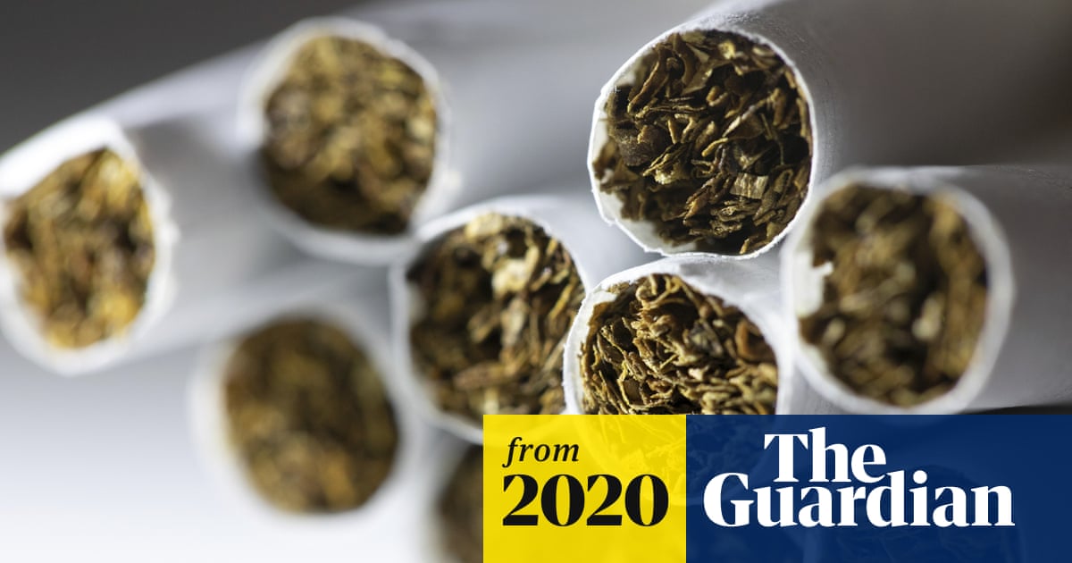 tobacco limits into australia New Australian laws require tobacco companies to print grim health warnings on individual cigarettes in bid to make toxic habit less appealing tobacco limits into australia New Australian laws require tobacco companies to print grim health warnings on individual cigarettes in bid to make toxic habit less appealing