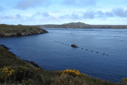 View from the coastal path of one of the trial polyculture farms off the coast of St David’s.