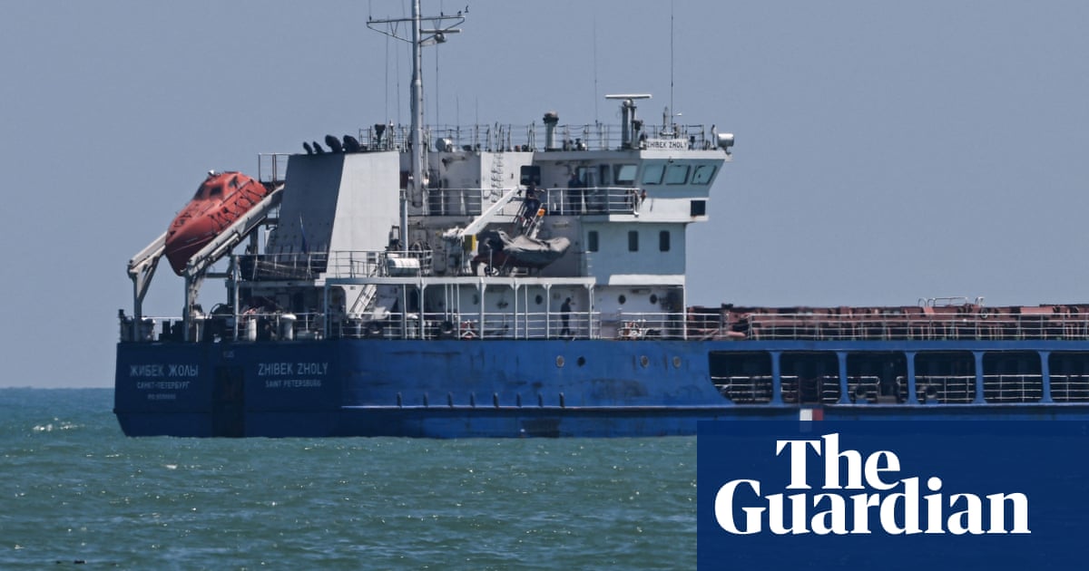 Turkey seizes Russian ship carrying ‘stolen’ Ukrainian grain