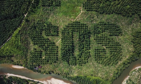 SOS message carved into landscape of oil palm plantation in Sumatra