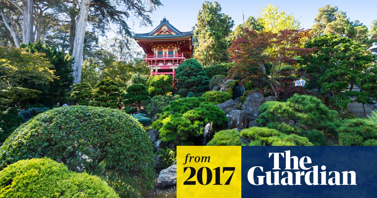 Japan Sends In Experts To Rescue World S Bedraggled Bonsais World News The Guardian