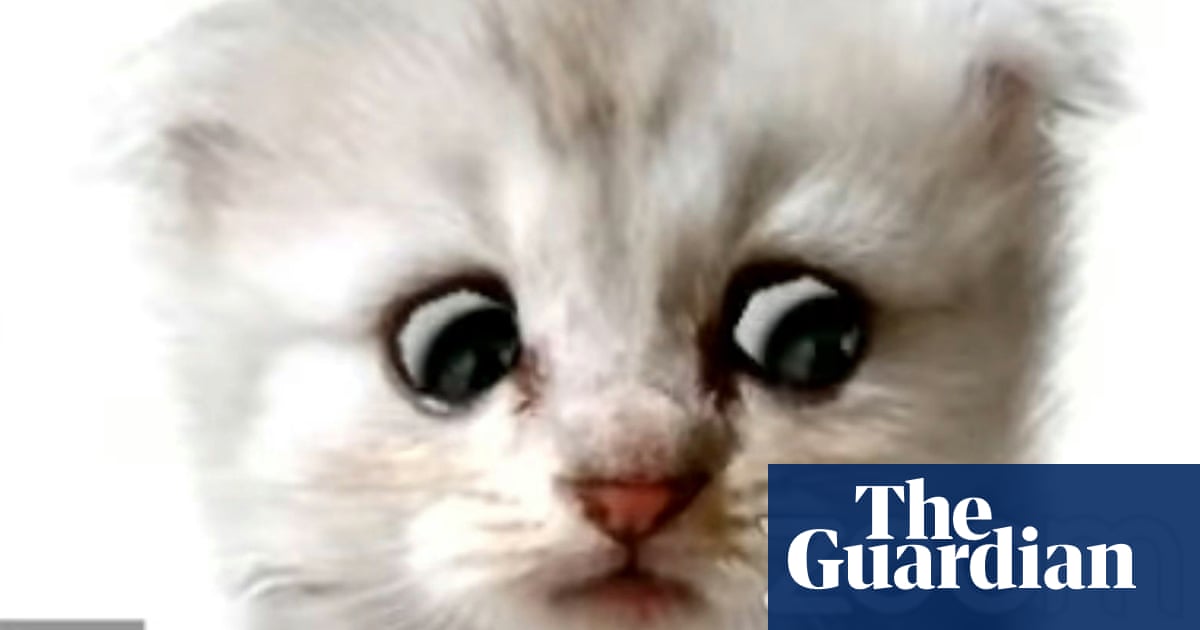 Texas Lawyer Trapped By Cat Filter On Zoom Call Informs Judge He Is Not A Cat Texas The Guardian Texas Lawyer Trapped By Cat Filter On Zoom Call Informs Judge He Is Not A Cat Texas The Guardian