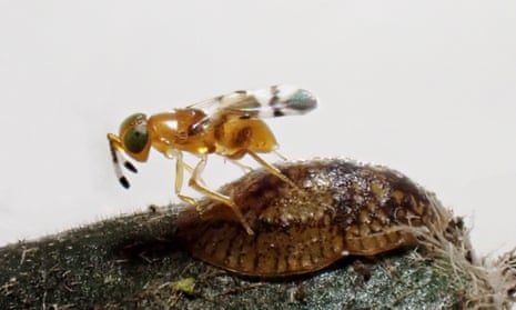 Outdoor setup: step-by-step plan that holds in wind