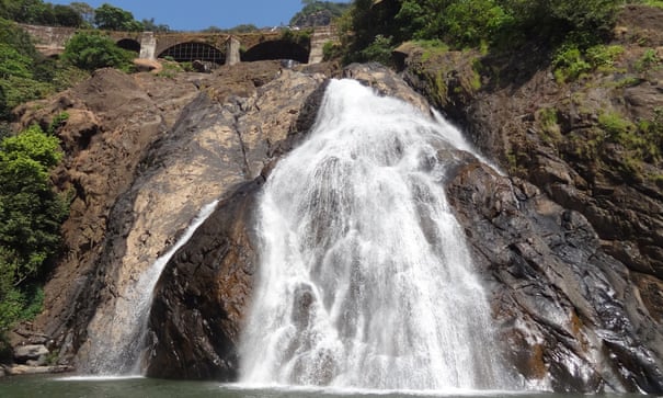 Fury as Goa’s rare wildlife park faces invasion by rail and road Mollem national park, Goa. Photograph: Getty