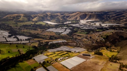 A view down into a large valley with mountains in the distance. The green landscape is covered in greenhouses