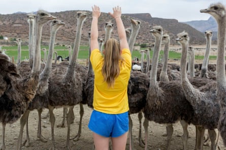 Teenager Nicola Klue with young ostriches on her parents’ farm