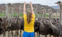 Nicola Klue (14) with eleven-month-old ostriches at Middelwater, the farm of her parents Michelle and Jurie Klue.