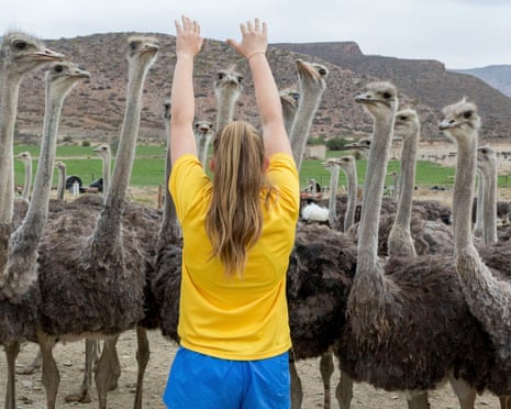 Nicola Klue (14) with eleven-month-old ostriches at Middelwater, the farm of her parents Michelle and Jurie Klue.
