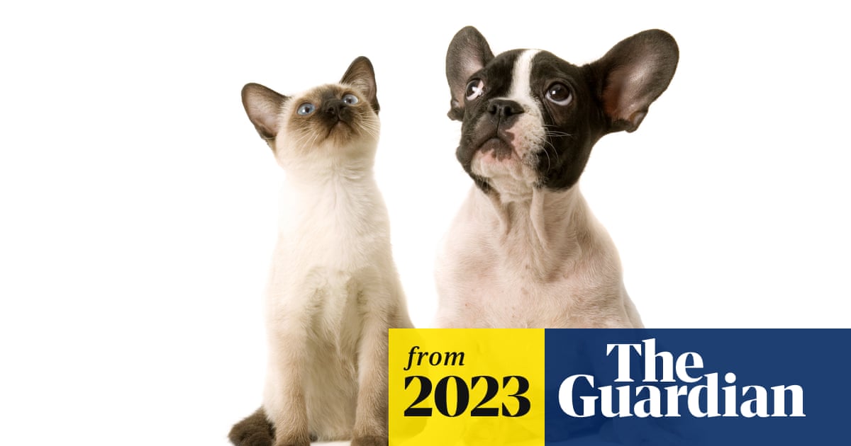 Which is Safer Dog Or Cats to Human Health: Surprising Truths Revealed