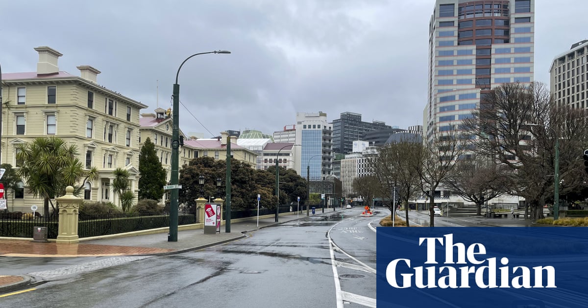 Do look up: 1,000 street lights at risk of falling, Wellington tells residents