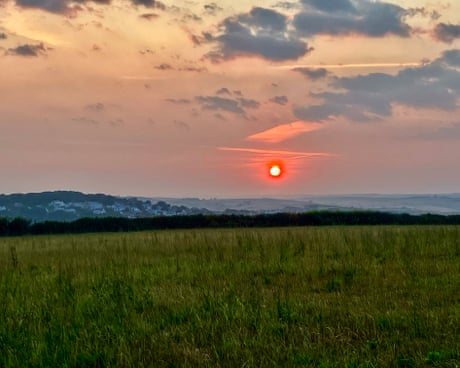 Country diary: Even in a heatwave, signs of last winter storms still linger | Nicola Chester