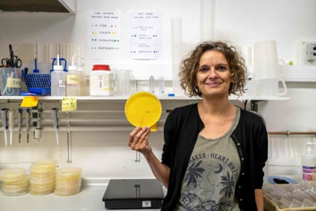 Audrey Dussutour in her lab.
