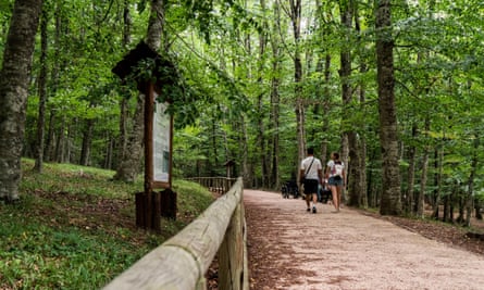 The Foresta Umbra footpath