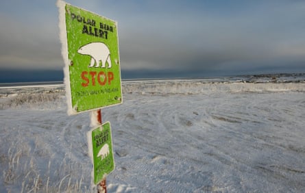 One of many polar bear alert warning signs posted inside the town of Churchill, Manitoba.