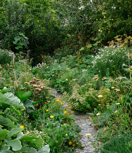 A path through the garden.