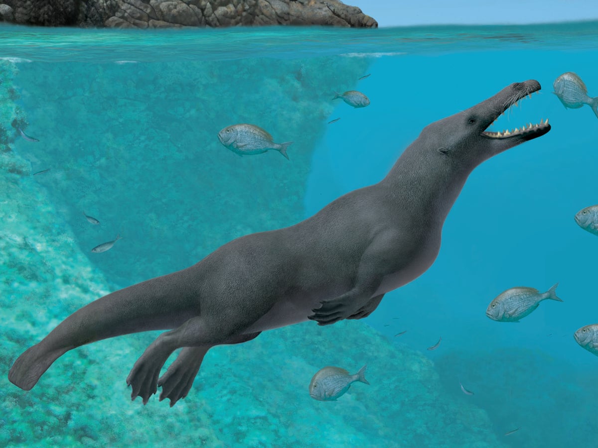 Fossil of ancient four-legged whale with hooves discovered | Archaeology |  The Guardian
