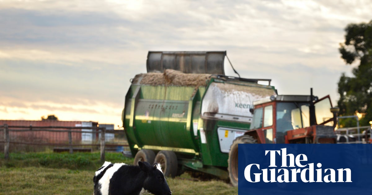 Farmers plead for tax breaks, diesel guarantees and help buying fertiliser as national cabinet meets on fuel crisis