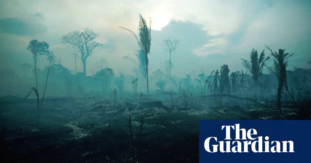 'Exterminator of the future': Brazil's Bolsonaro denounced for environmental assault