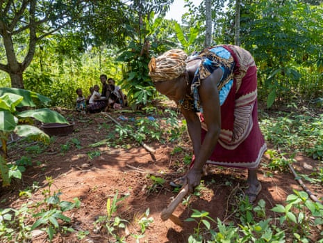 Kouakou Amoin Audette tending her land on a sunny day in the Ivory Coast.