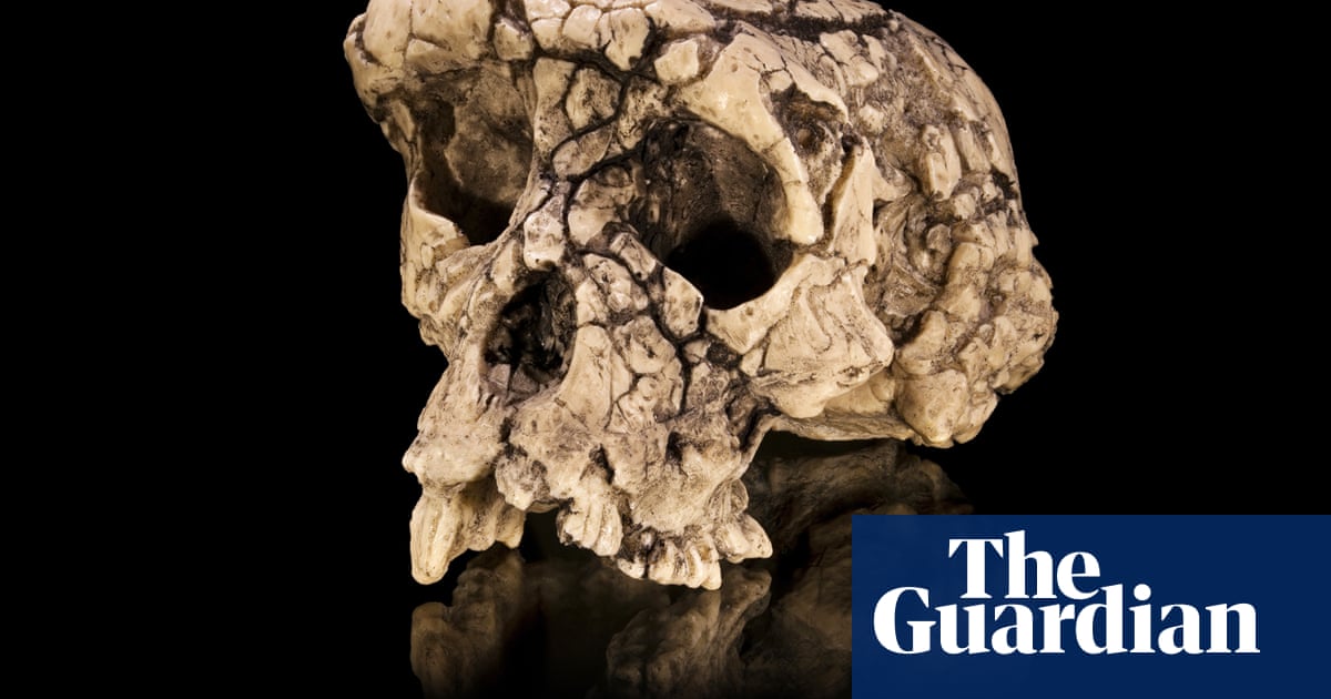 The curse of Toumai: an ancient skull, a disputed femur and a bitter feud over humanity's origins