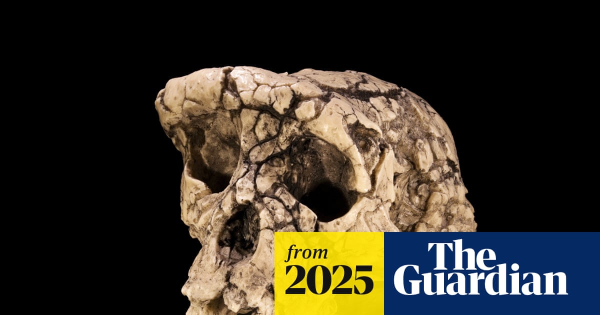The curse of Toumaï: an ancient skull, a disputed femur and a bitter feud over humanity’s origins