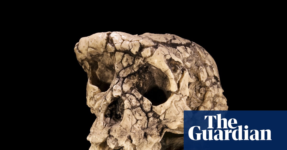 The curse of Toumaï: an ancient skull, a disputed femur and a bitter feud over humanity’s origins