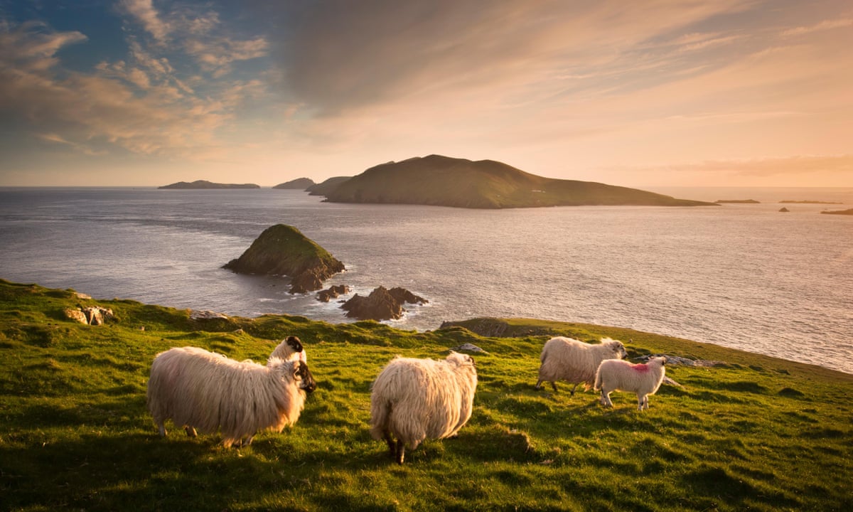 West Coast Of Ireland (1965)