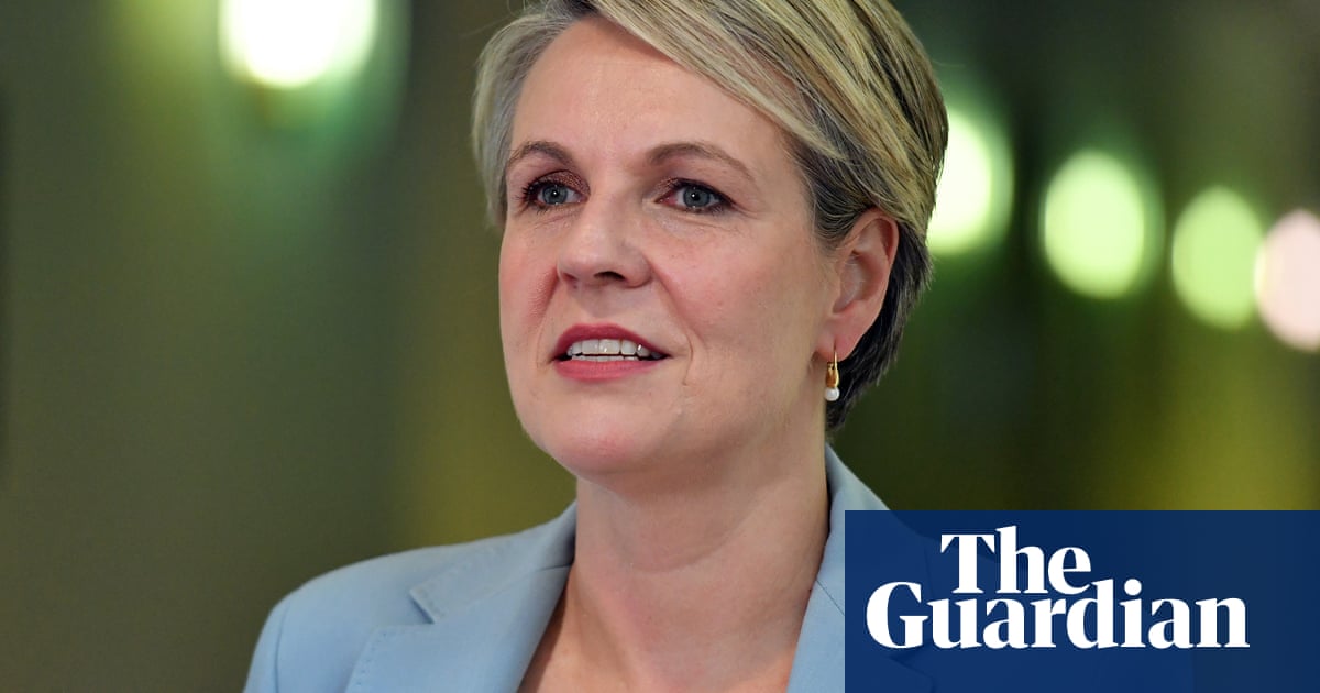 National teacher’s union ‘concerned’ by lack of detail in Labor’s public school funding policy