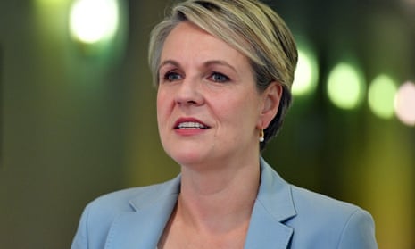 Shadow education minister  Tanya Plibersek. Labor’s public education funding has drawn overall support from the AEU, despite a ‘concerning’ lack of timeline