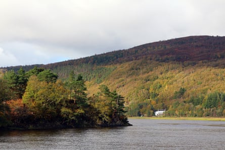 The Afon Mawddach is within a few feet of the top of the bank.