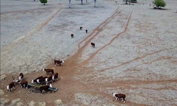 Glenwood property at Cumnock. NSW. Taken in late February 2018.