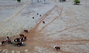 Have You Been Affected By The Drought In Australia Environment The Guardian