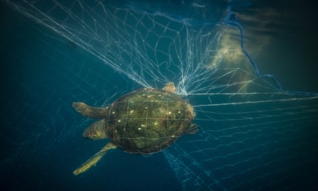 ghost fishing gear in Great Pacific Garbage Patch underwater photo