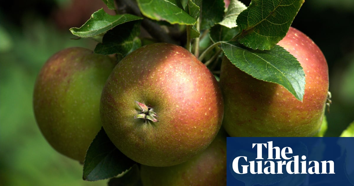 Climate breakdown could cause British apples to die out, warn experts