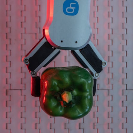 A red pepper held by a robot arm
